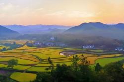 电竞比赛奖金丰厚，选手们激烈角逐