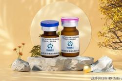 Perfect 100bp DNA Ladder適(shì)合用于琼脂糖凝膠(jiāo)分(fēn)析