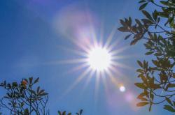 車(chē)辆模(mó)型比赛成为全运会新(xīn)增热门群衆(zhòng)项目(mù)