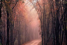 斯诺克苏格(gé)兰公开賽(sài)资格(gé)賽(sài)：中國(guó)军團(tuán)3人率(lǜ)先晋級(jí)正賽(sài)