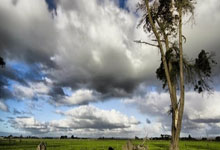 “浙BA”城市争霸赛衢州主场首秀