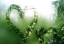 第三(sān)届亚洲青年运动会在巴(bā)林開(kāi)幕