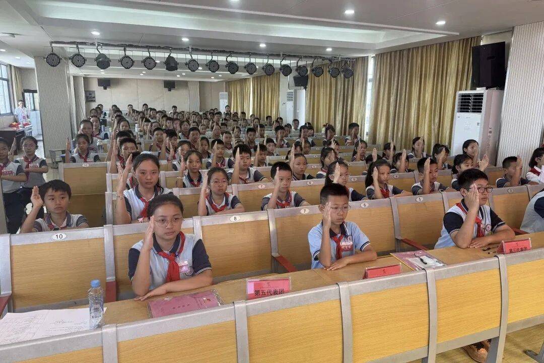 你好，少代会丨新建区各学校少代会精彩集锦（一）